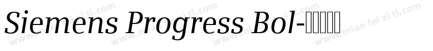 Siemens Progress Bol字体转换